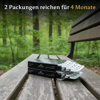 Pure North Himalayan Shilajit Tabletten