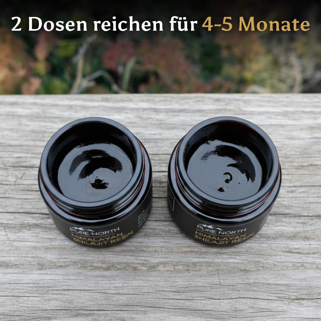 Pure North Himalayan Shilajit Harz 30g