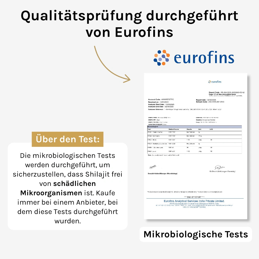 Pure North Himalayan Shilajit Tabletten
