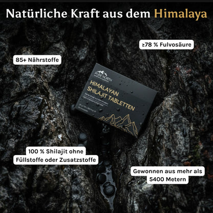 Pure North Himalayan Shilajit Tabletten