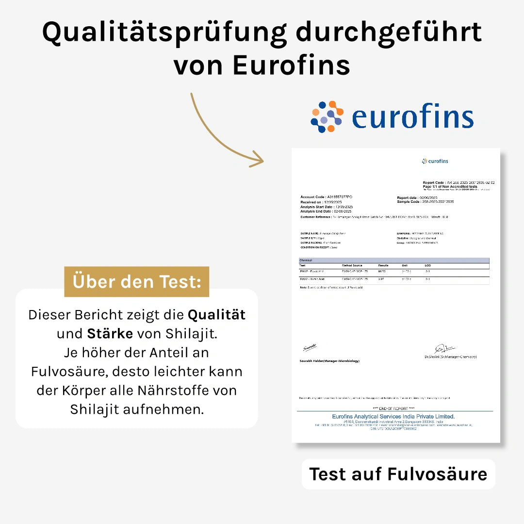 Pure North Himalayan Shilajit Tabletten