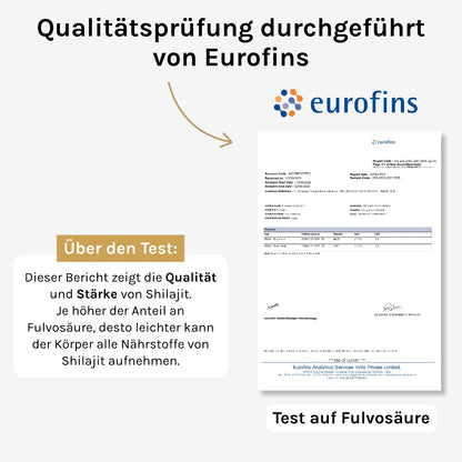 Pure North Himalayan Shilajit Tabletten