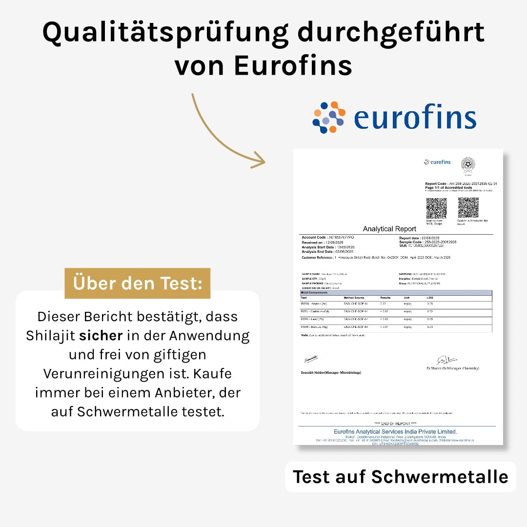 Pure North Himalayan Shilajit Tabletten