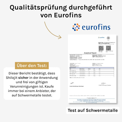 Pure North Himalayan Shilajit Tabletten