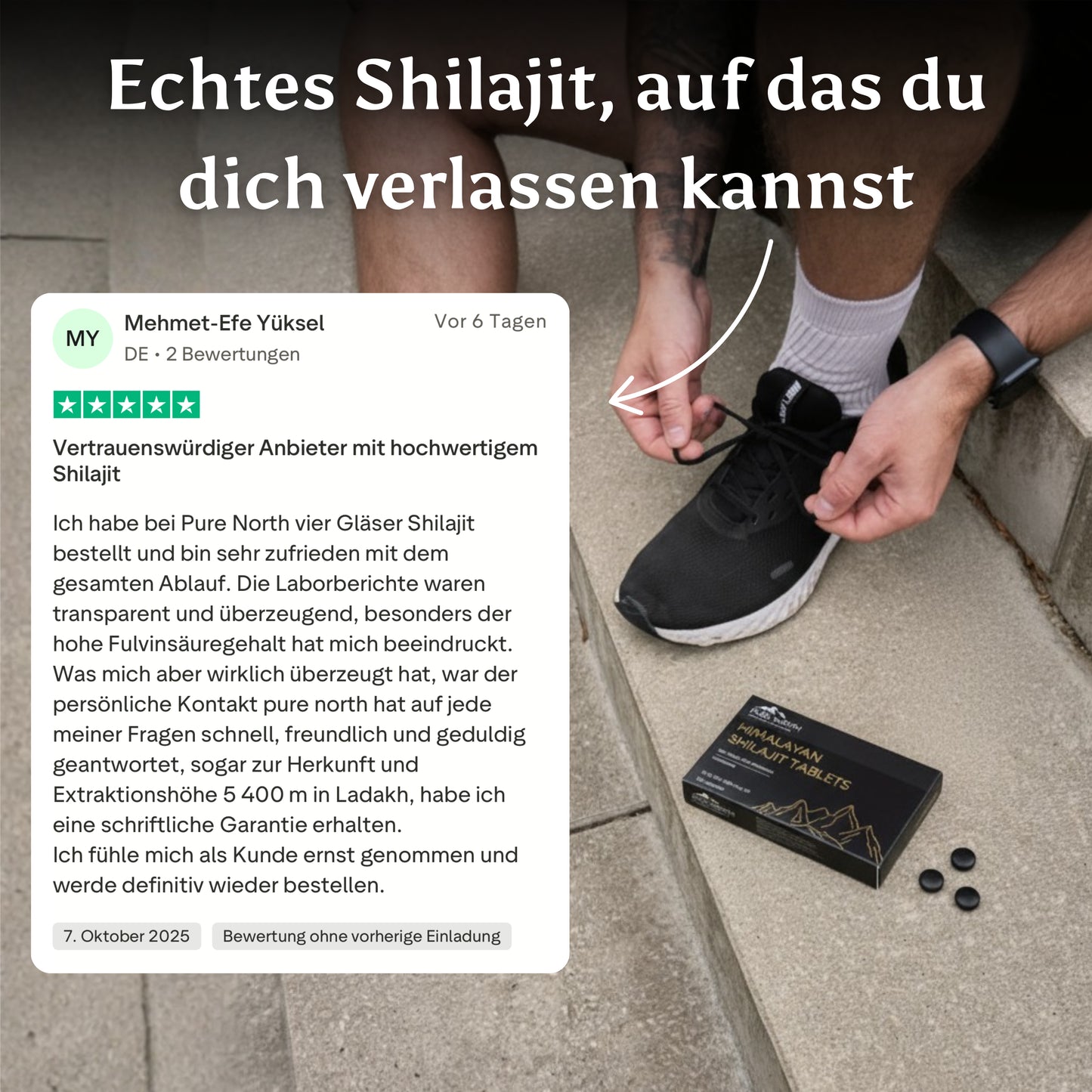 Pure North Himalayan Shilajit Tabletten