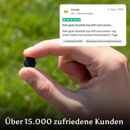 Pure North Himalayan Shilajit Tabletten