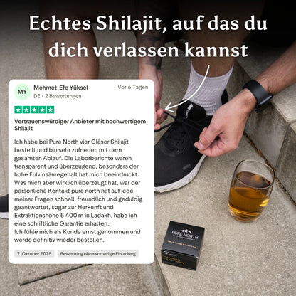 Pure North Himalayan Shilajit Harz 30g