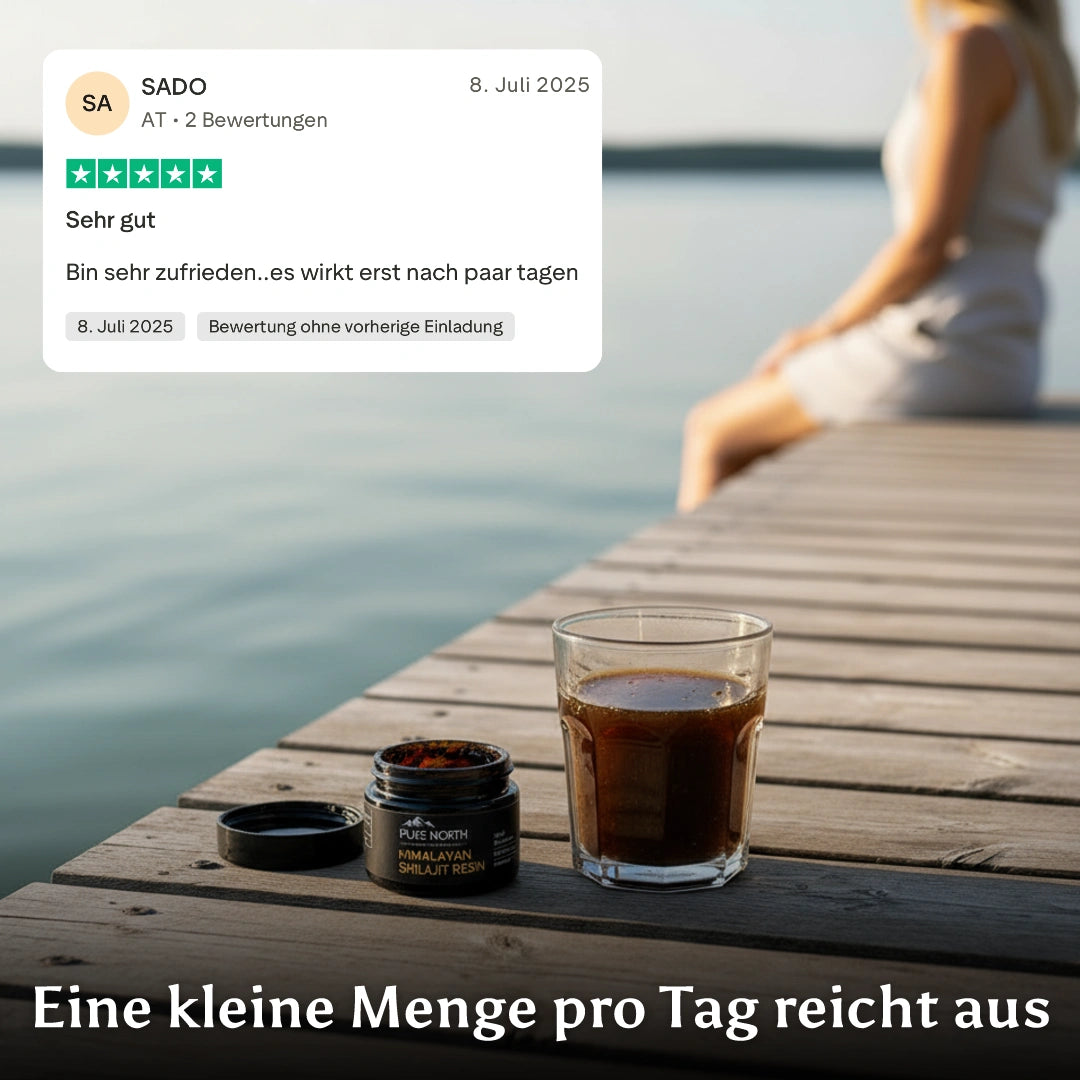 Pure North Himalayan Shilajit Harz 30g