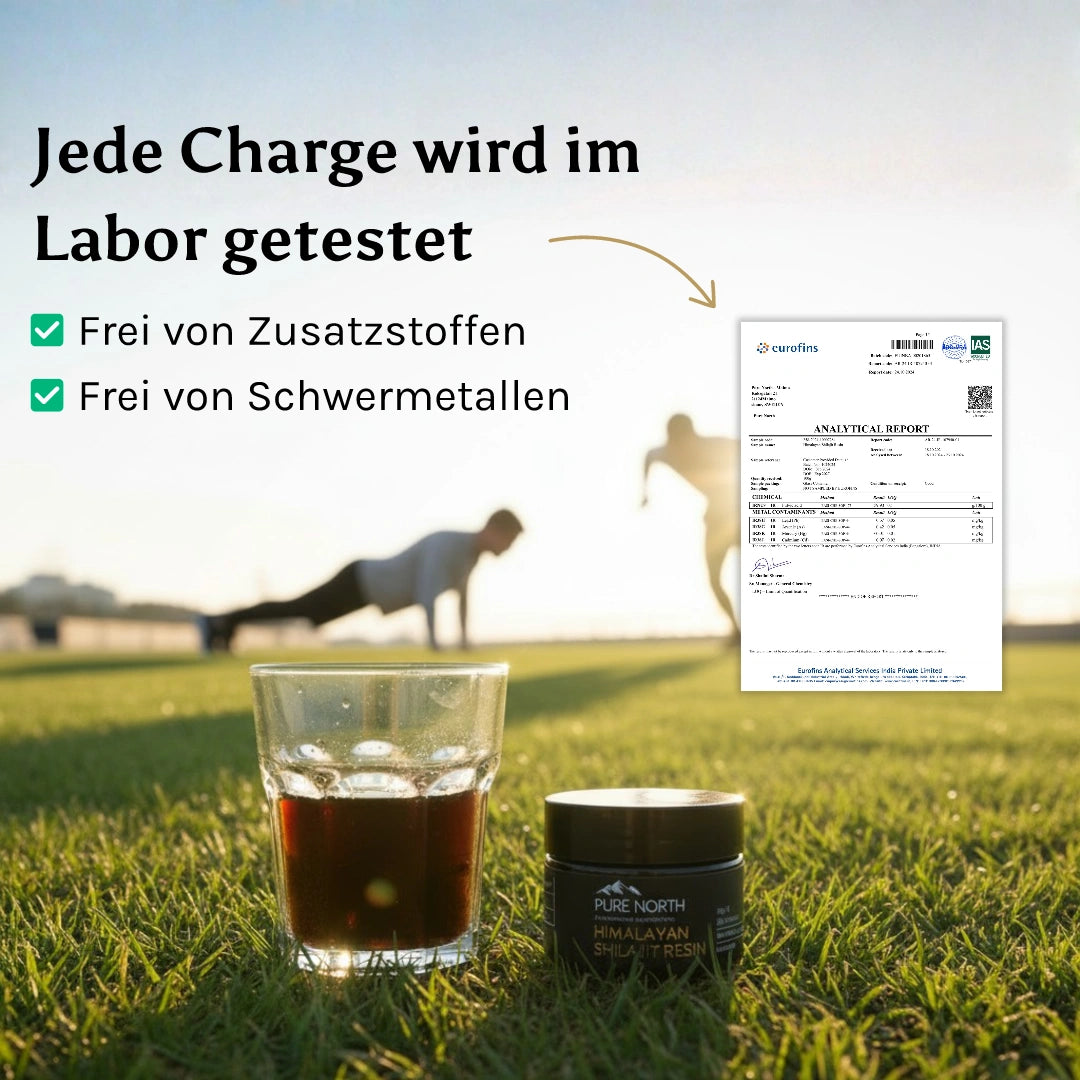 Pure North Himalayan Shilajit Harz 30g