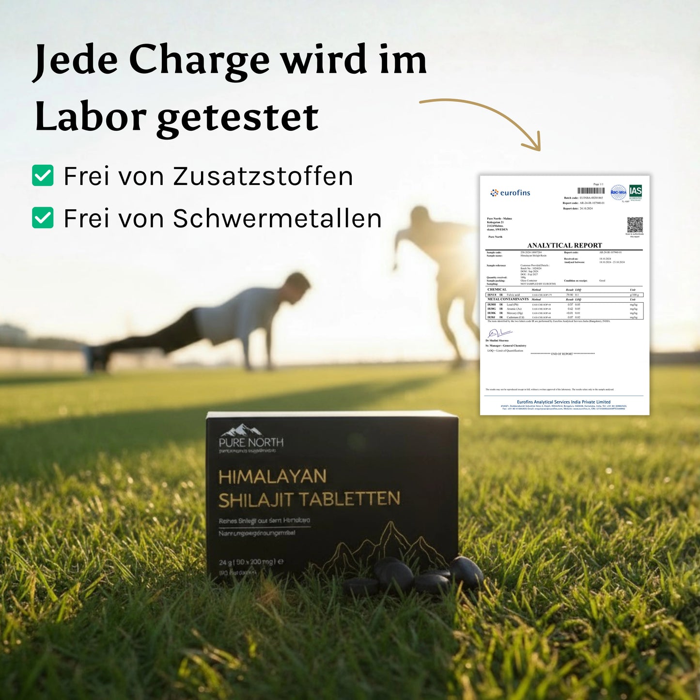 Pure North Himalayan Shilajit Tabletten